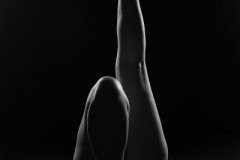 S8A0086-bewerkt_zw