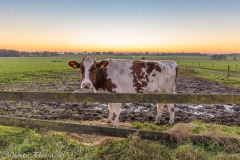 Overzicht naar Mirns