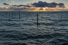 Oostvaardersdijk