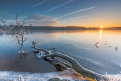 Winters plaatje Noorderplassen