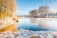 Winters plaatje Noorderplassen