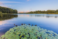 Leeghwaterplas