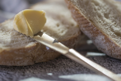 Brood